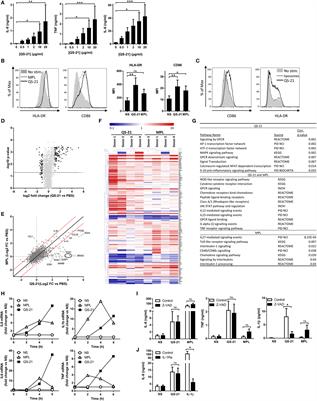Lysosome-Dependent Activation of Human Dendritic Cells by the Vaccine Adjuvant QS-21